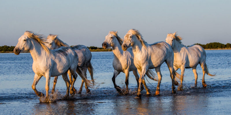 Reservas naturais