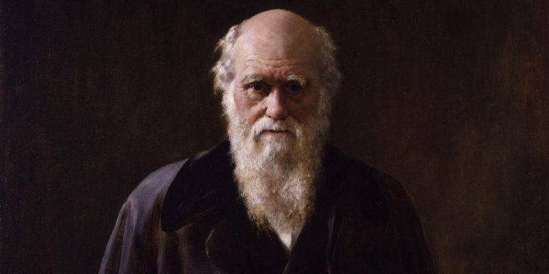 Charles Darwin - zoologia