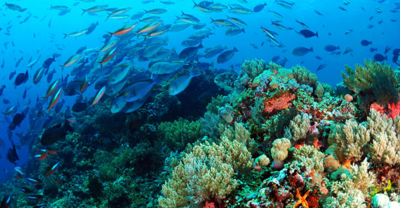 Parque Nacional de Komodo