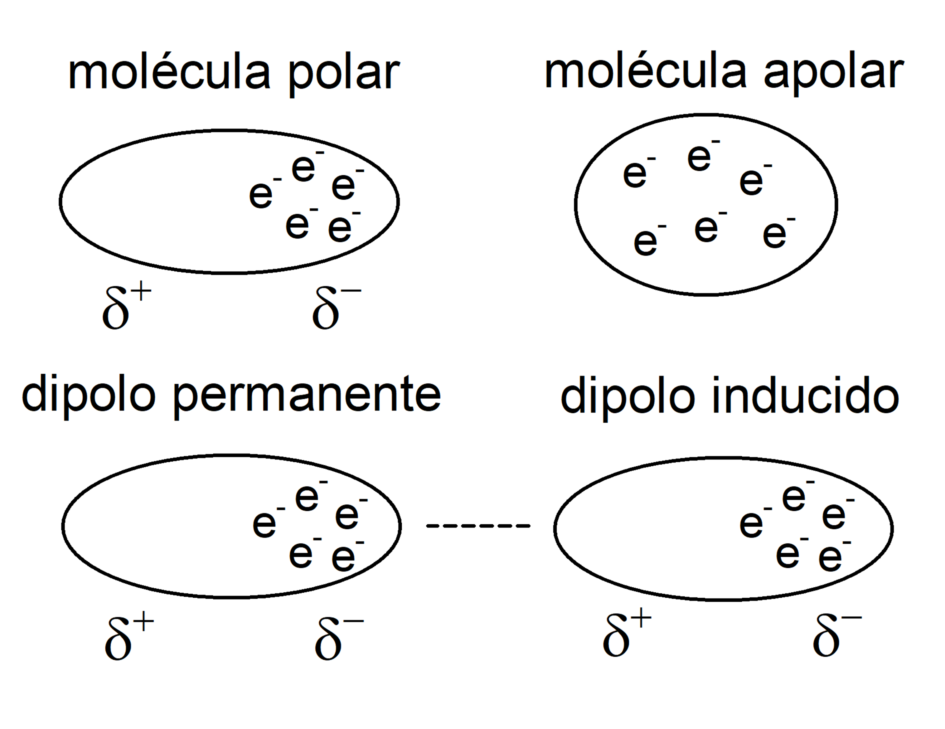 forças intermoleculares