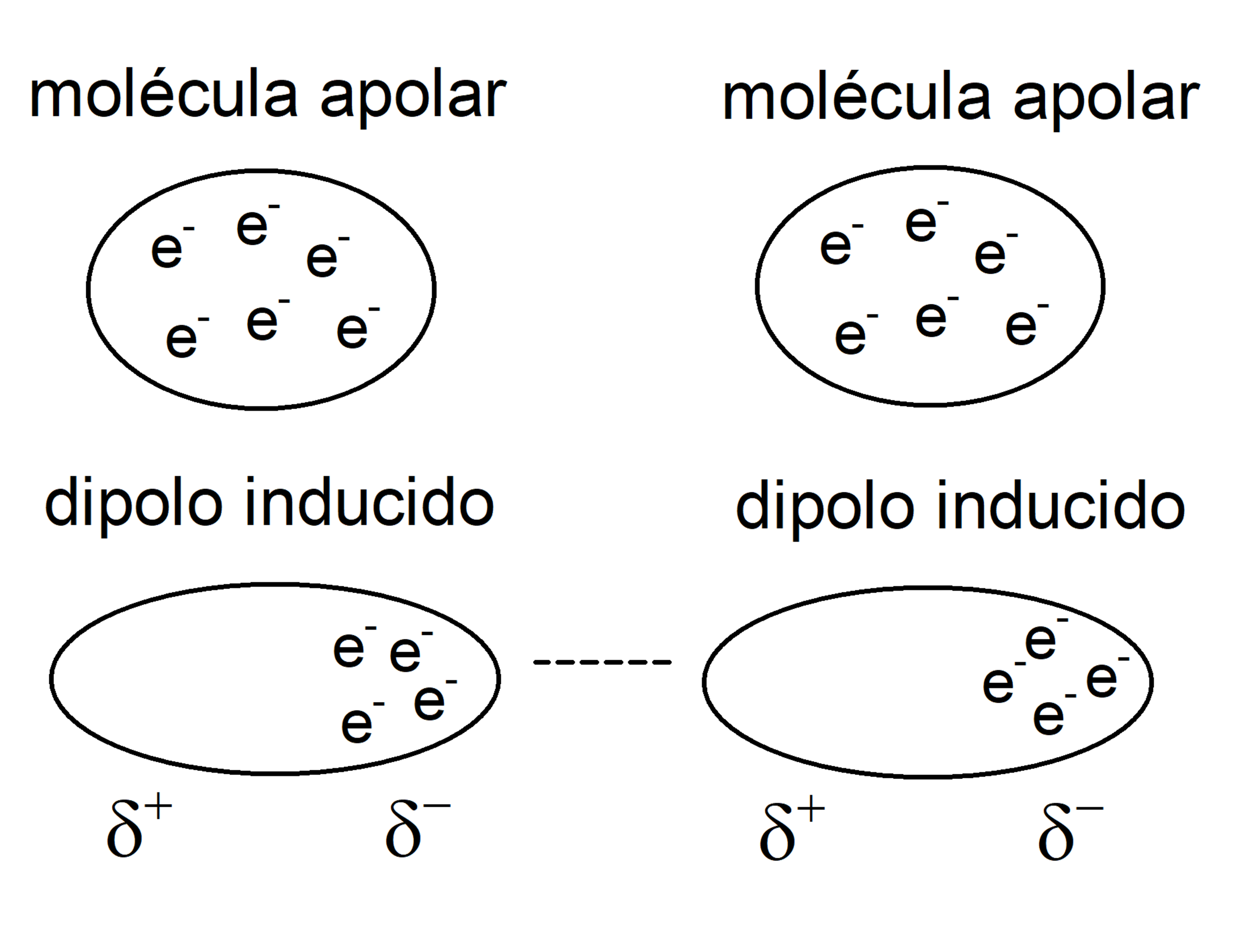 forças intermoleculares