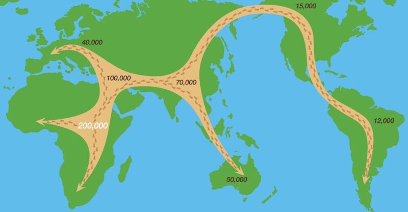 evolução do homem primitivo