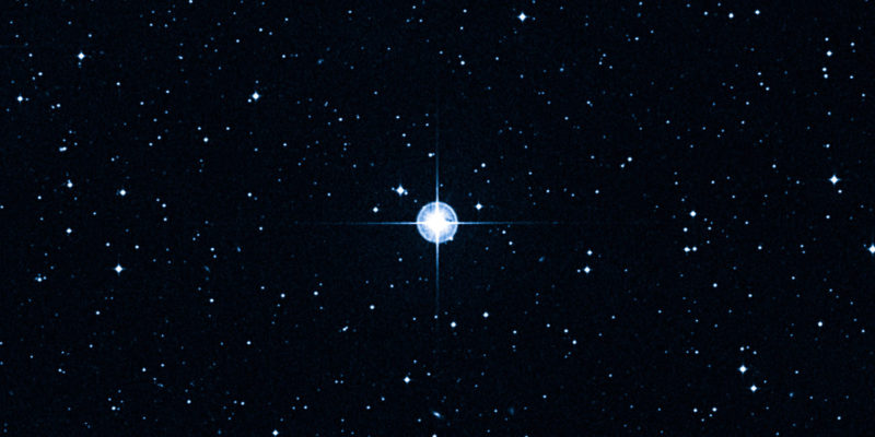 estrelas