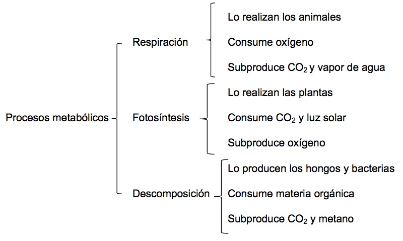 exemplos de tabelas sinóticas