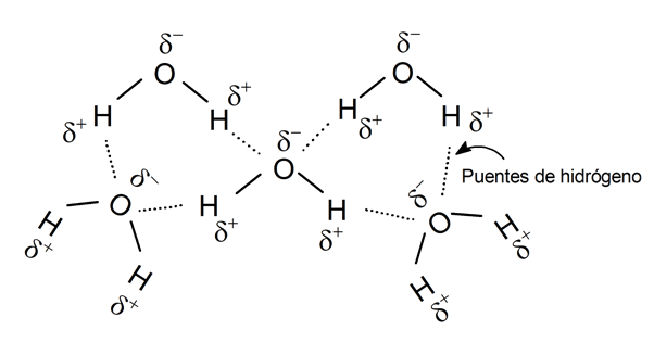 Moléculas