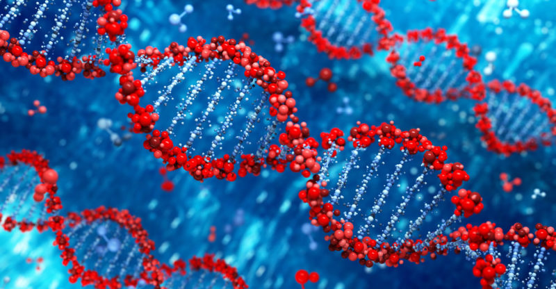 forças intermoleculares - DNA