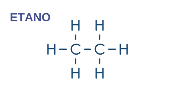 hidrocarbonetos 