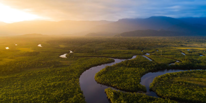 Selva Amazonas