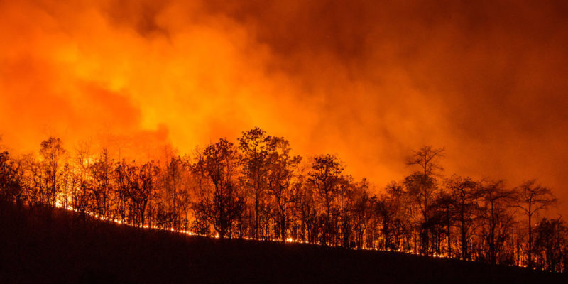 Incêndio florestal