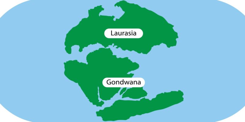 período jurásico pangea laurasia gondwana