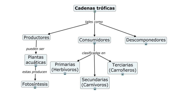 mapa conceitual