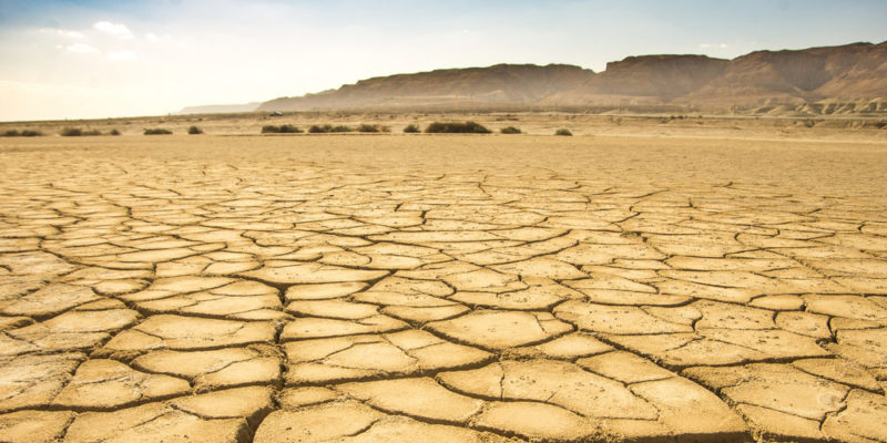 Clima árido