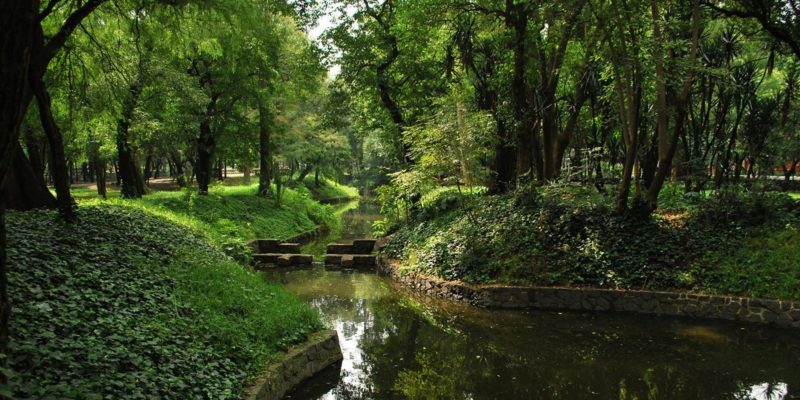 floresta - chapultepec - méxico