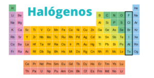 Halógenos